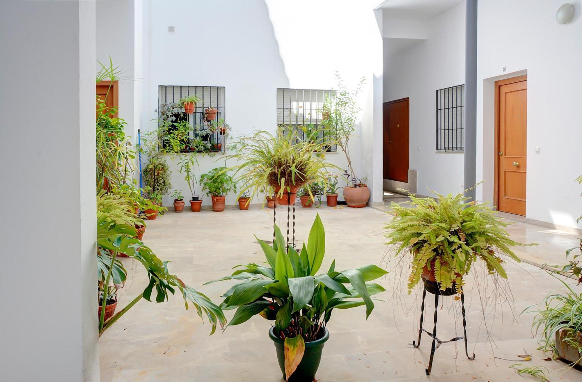Estudio Plaza de la Encarnacion Sevilla Exterior foto